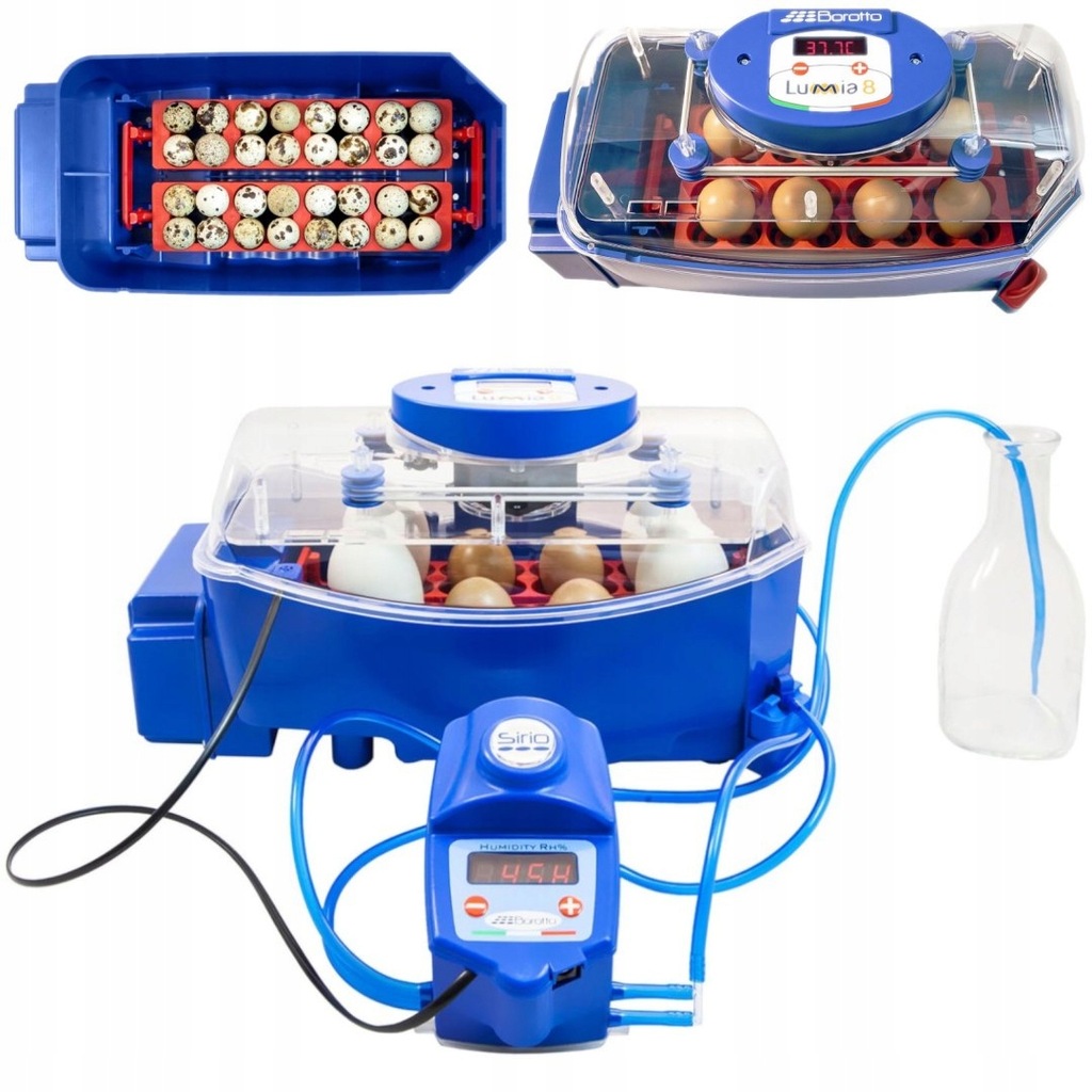 Inkubator klujnik do 8 jaj automatyczny z systemem