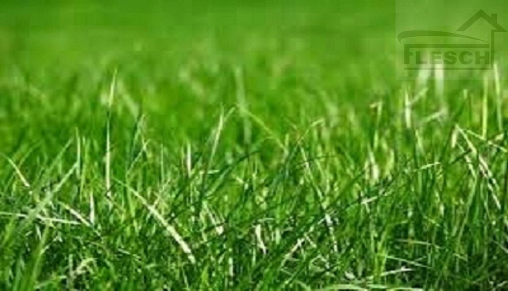 Działka, Stara Wieś, 1500 m²