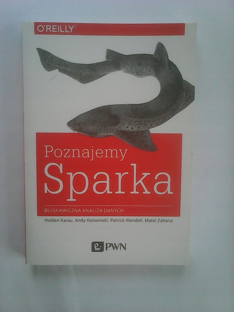 POZNAJEMY SPARKA