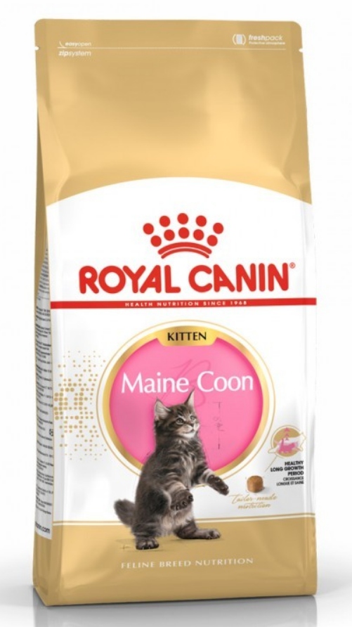 Royal Canin sucha karma dla kociąt maine coon 10kg
