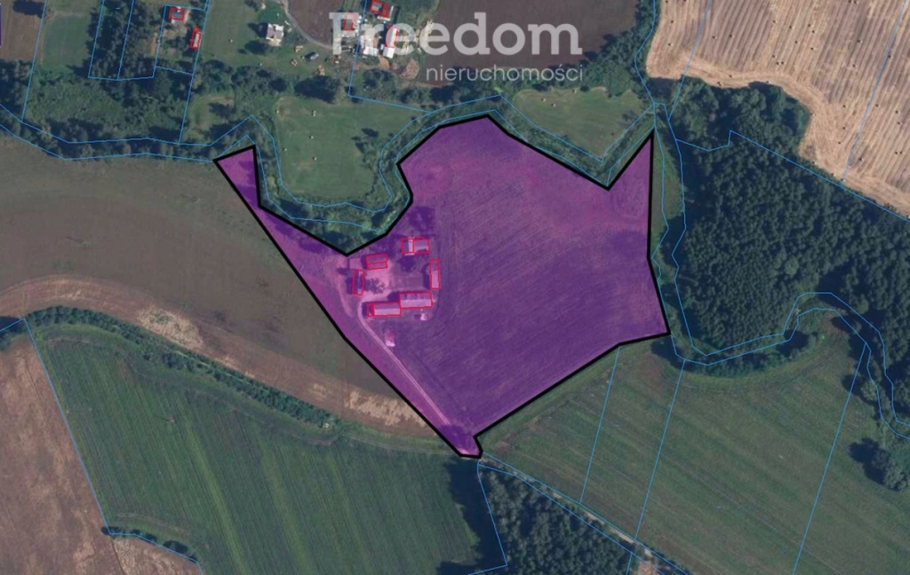 Działka, Kisielewo, Sierpc (gm.), 45704 m²