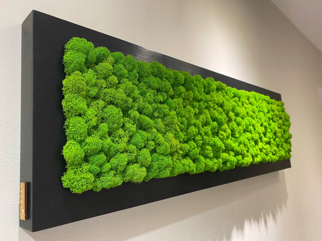 naturalny obraz z mchu mech chrobotek wysyłka 24