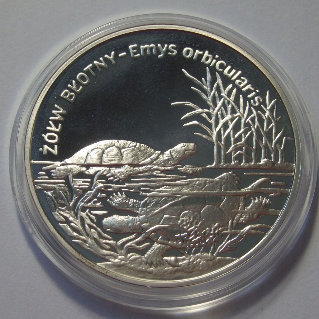 20 zł Żółw Błotny, 2002r. Ag X4899