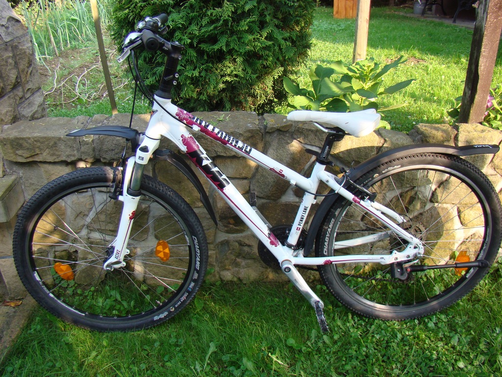 Rower damski firmy KTM model PENNY LANE 7828845510 oficjalne