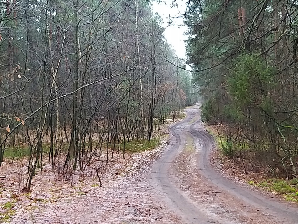 Działka, Osiedle Wilga, 2560 m²