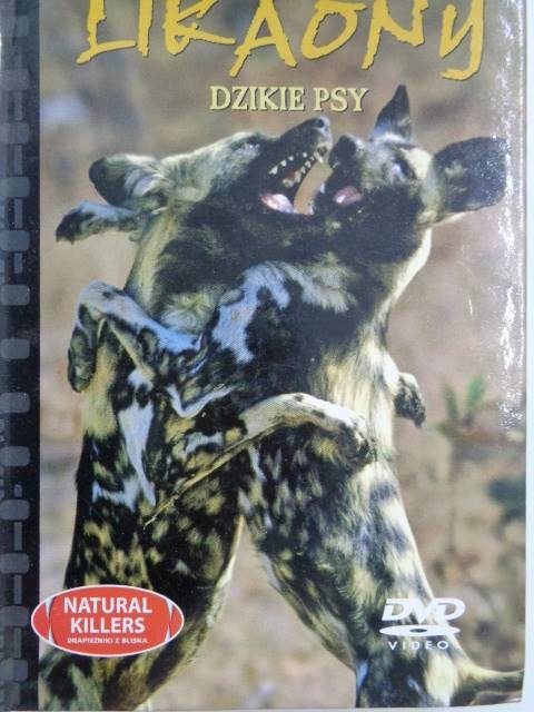 Likaony dzikie psy booklet