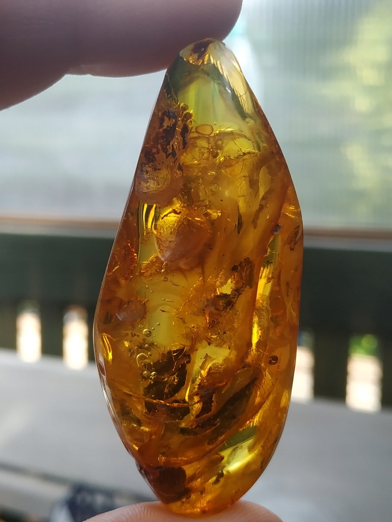 Bursztyn owad INKLUZJA ładny robak 15,7 g