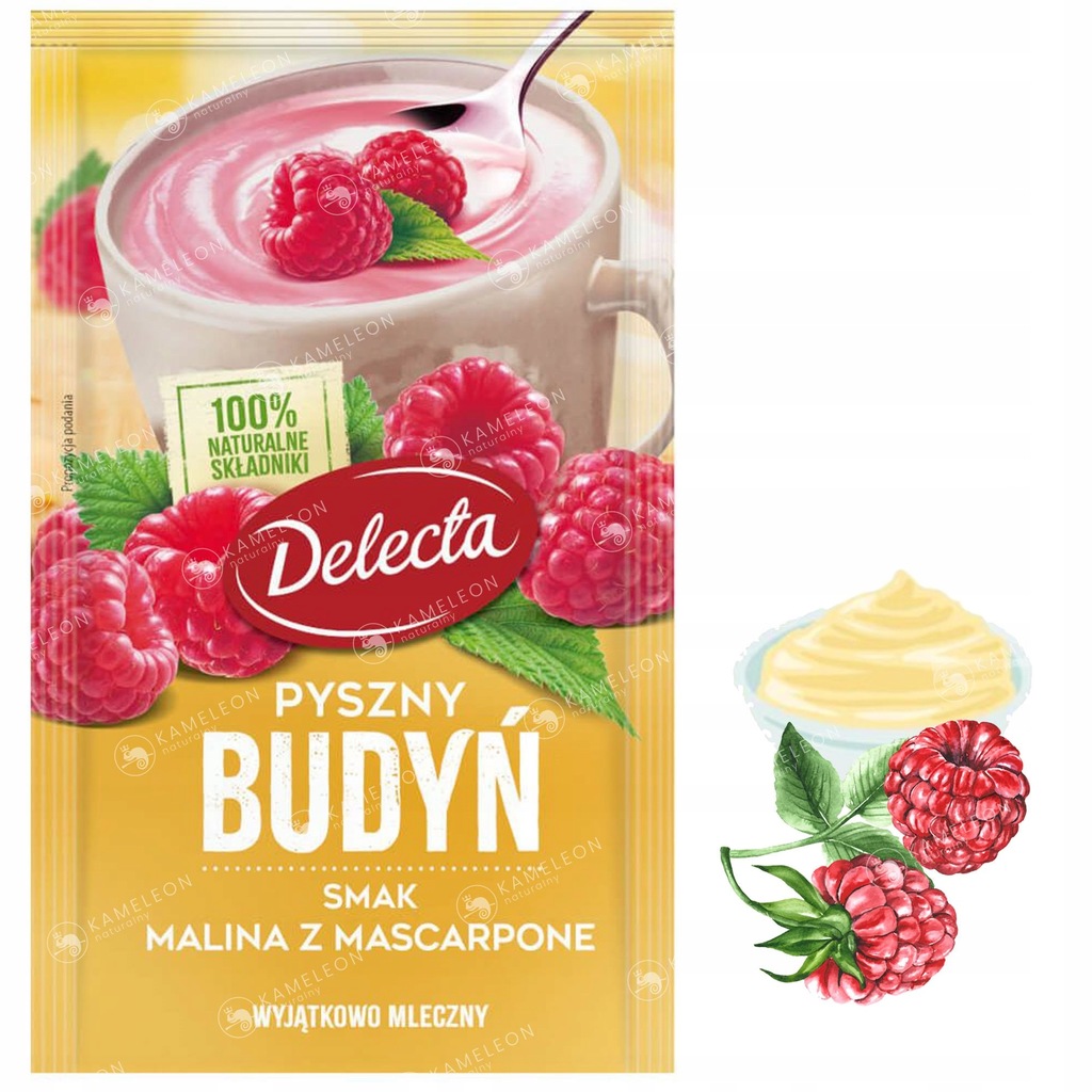 Delecta BUDYŃ INSTANT MALINA Z MASCARPONE 40g