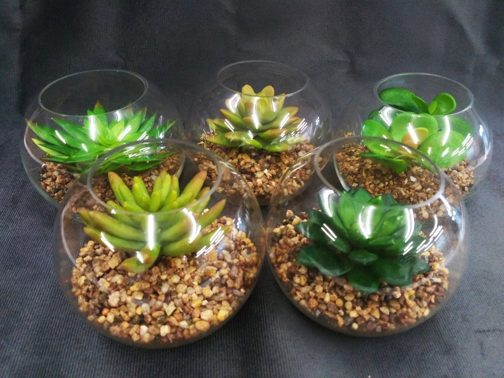 SUKULENT W SZKLANEJ KULI w szkle sztuczne kwiaty - 8353307333 ...