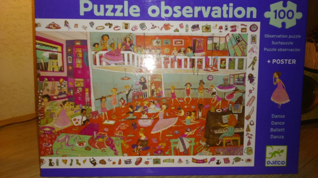 PUZZLE observation 100