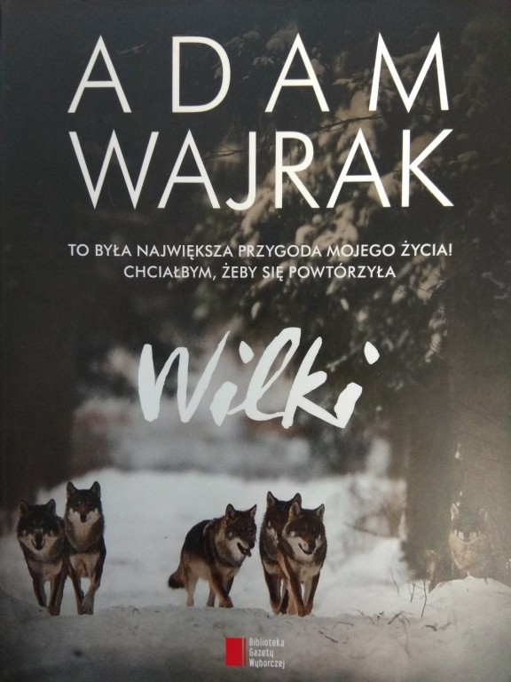 .*Adam Wajrak  ”Wilki” NOWA