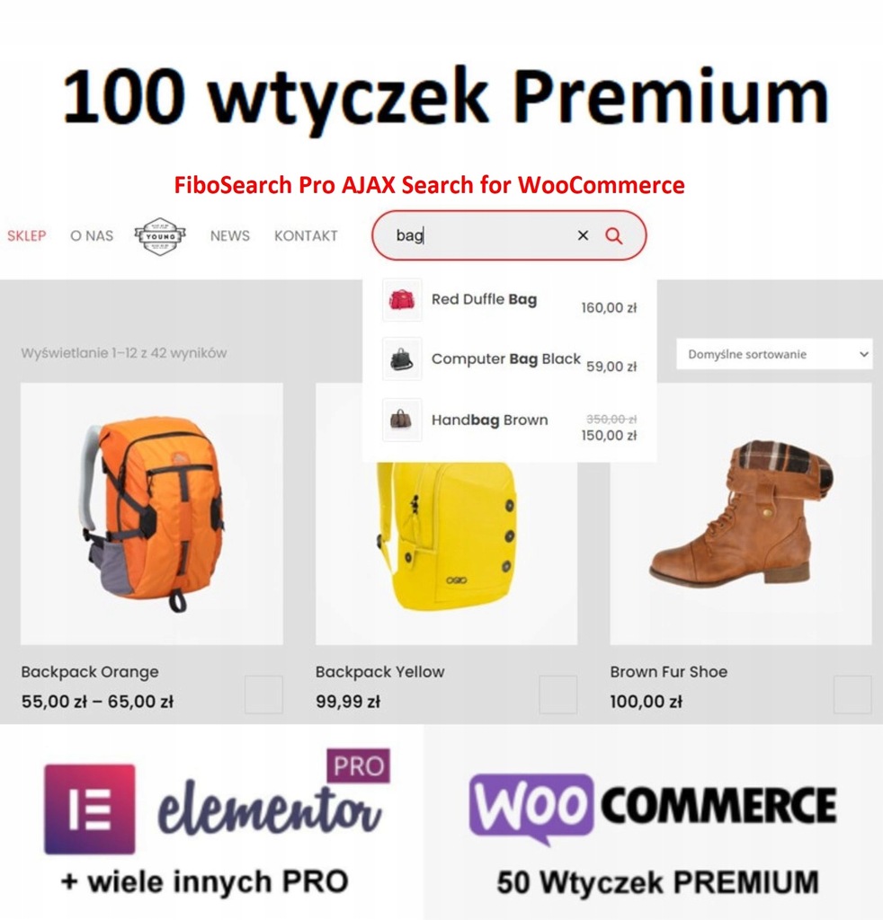 Wtyczka FiboSearch Pro AJAX Search for WooCommerce