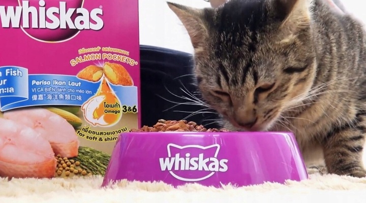 Купить Влажный корм для кошек Whiskas, смесь вкусов: отзывы, фото, характеристики в интерне-магазине Aredi.ru