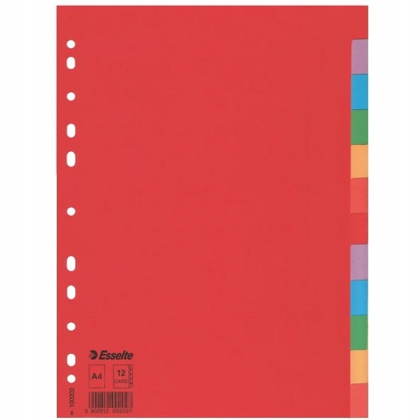 Przekładki karton A4 12 kart ESSELTE 100202 koloro