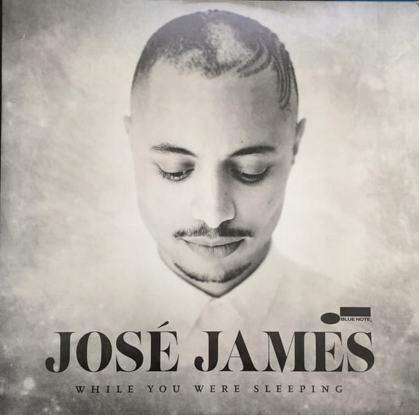 José James While You Were Sleeping Winyl