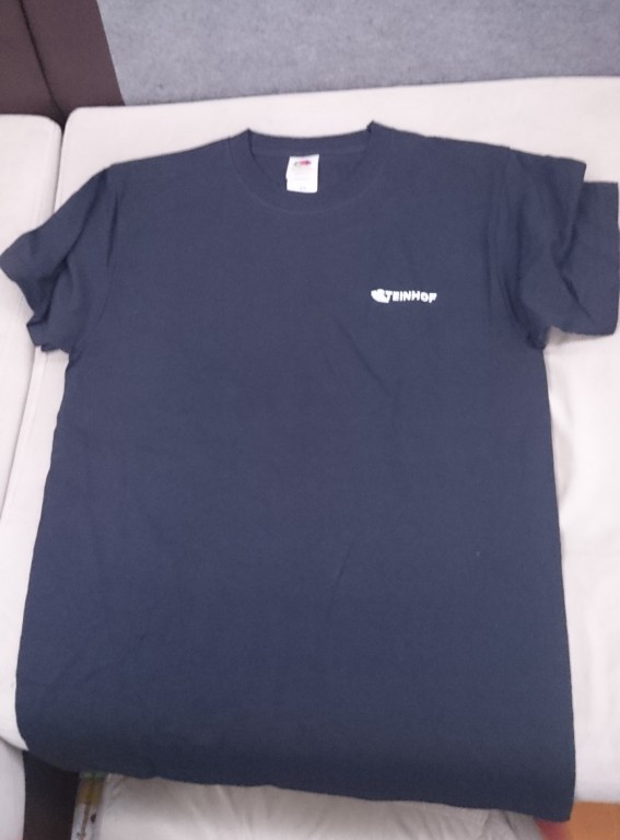 Koszulka,t-shirt FRUIT OF THE LOOM Z LOGO STEINHOF