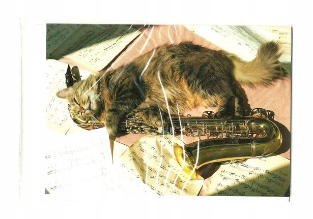 Pocztówka - Śpiący kot-saksofonista i nuty ...