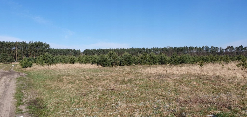 Działka, Trachy, 1010 m²