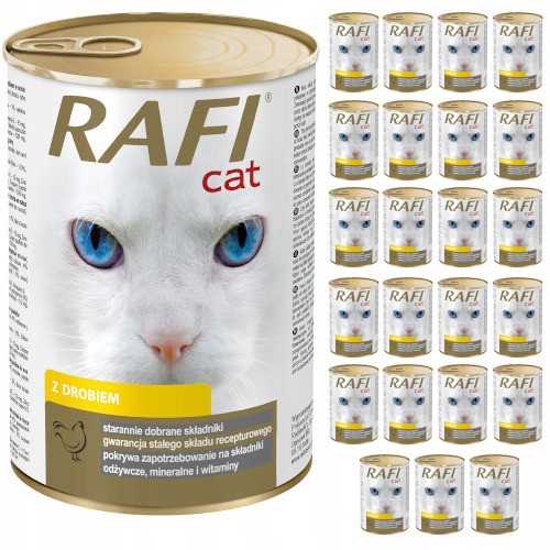 Dolina Noteci RAFI CAT z drobiem 24x415g