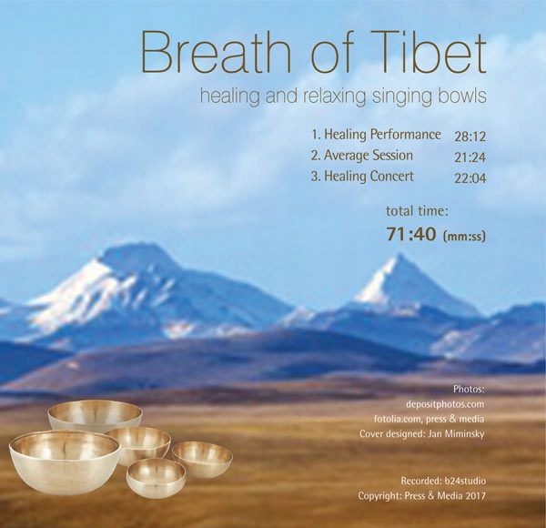 Купить Лечебная музыка, тибетские поющие чаши и гонги.: отзывы, фото, характеристики в интерне-магазине Aredi.ru