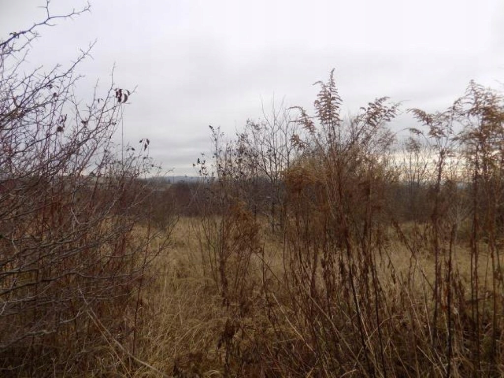 Działka, Trzebinia, Trzebinia (gm.), 1000 m²