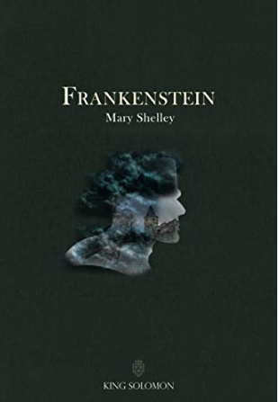 Frankenstein Mary Shelley FANTASY ENGLISH BOOK