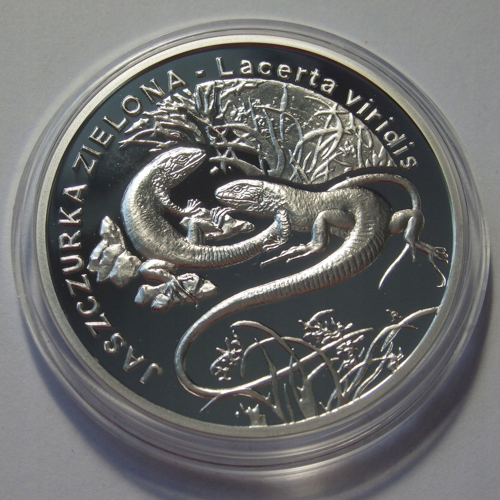 20 zł Jaszczurka Zielona, 2009r. Ag X4906