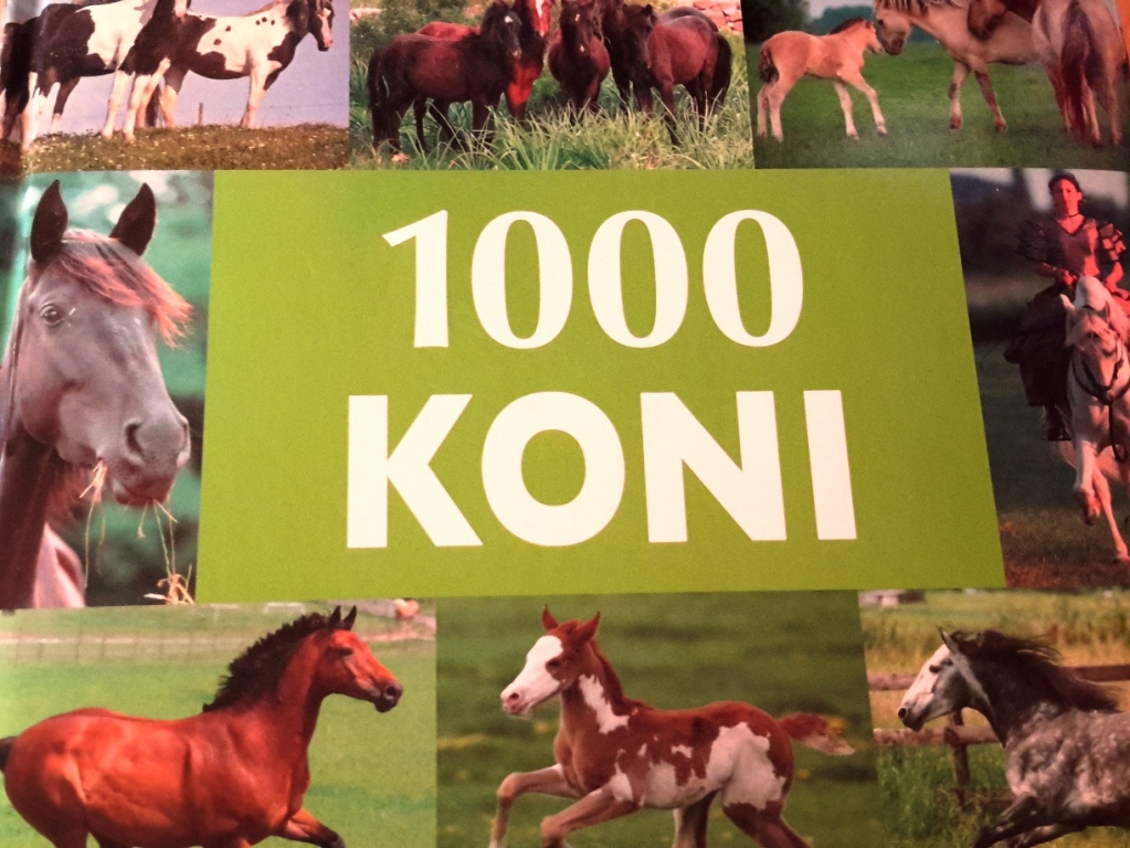 1000 Koni- 335 stron przepięknych zdjęć- album