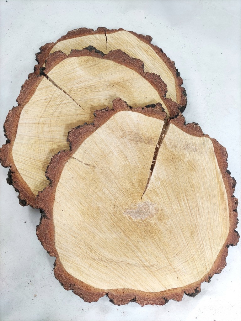 Plastry drewna z pęknięciem 20-22 cm nieszlifowane