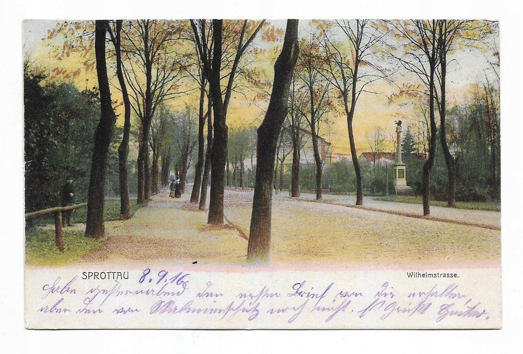 Szprotawa Sprottau Wilhelmstrasse 1916