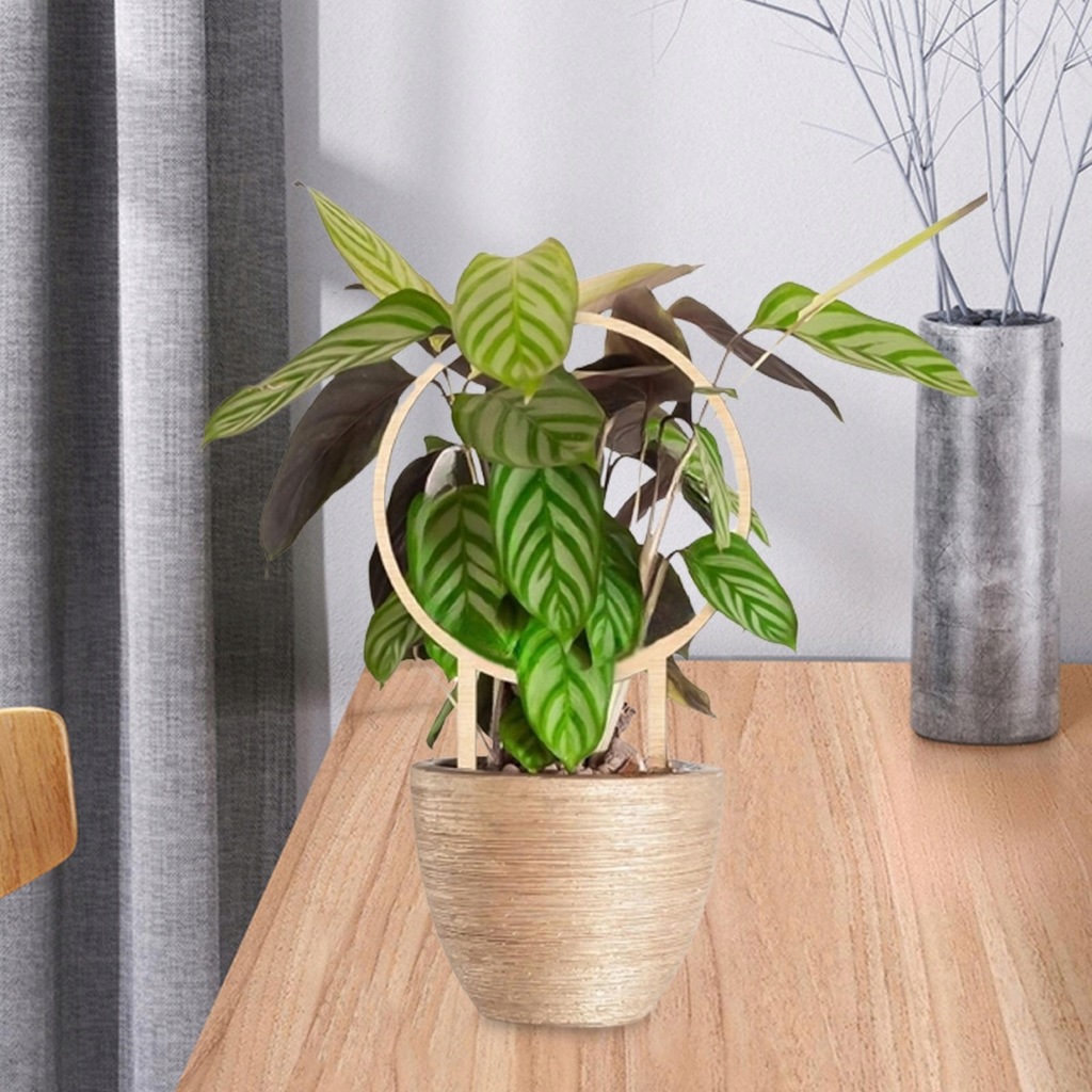 outdoor trellis honeycomb trellis wood trellis