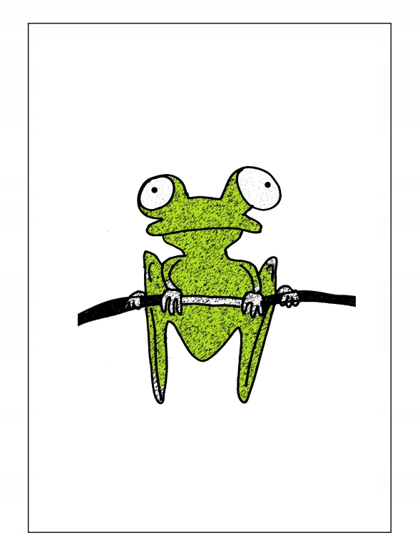Mini plakat A5 żaba żabka żaby żabki