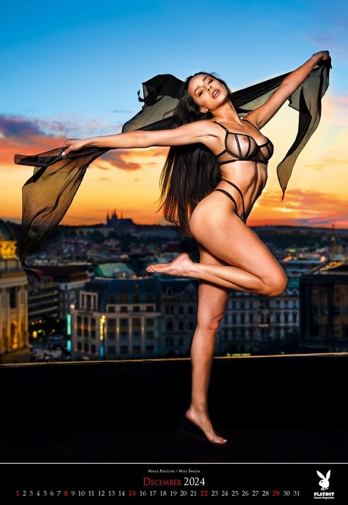 Playboy OFFICIAL CALENDAR 274 / 2024