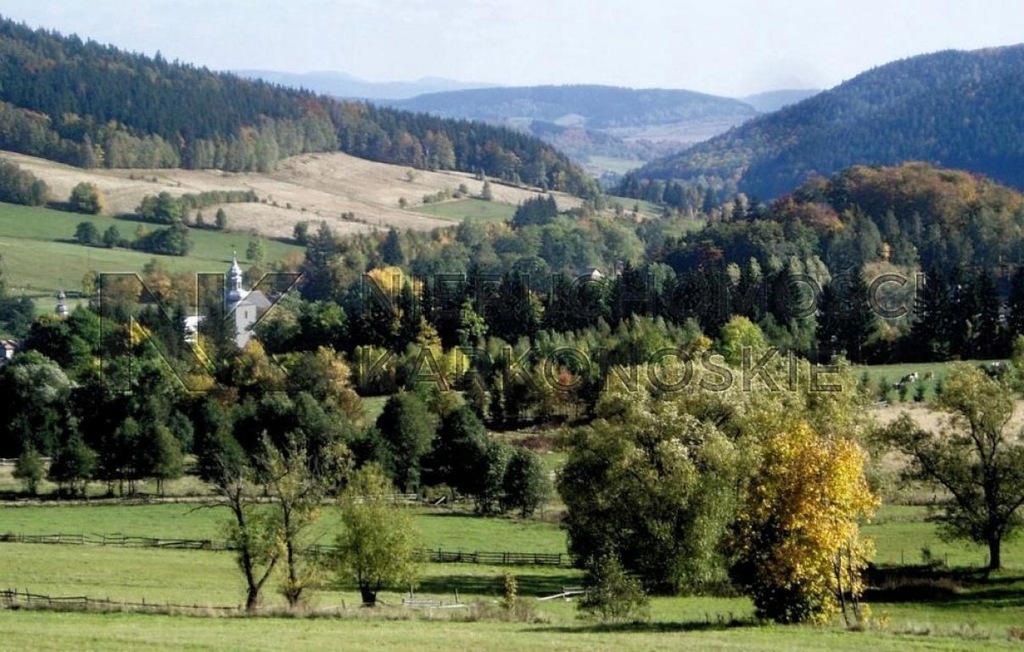 Działka, Leszczyniec, Kamienna Góra (gm.), 4328 m²