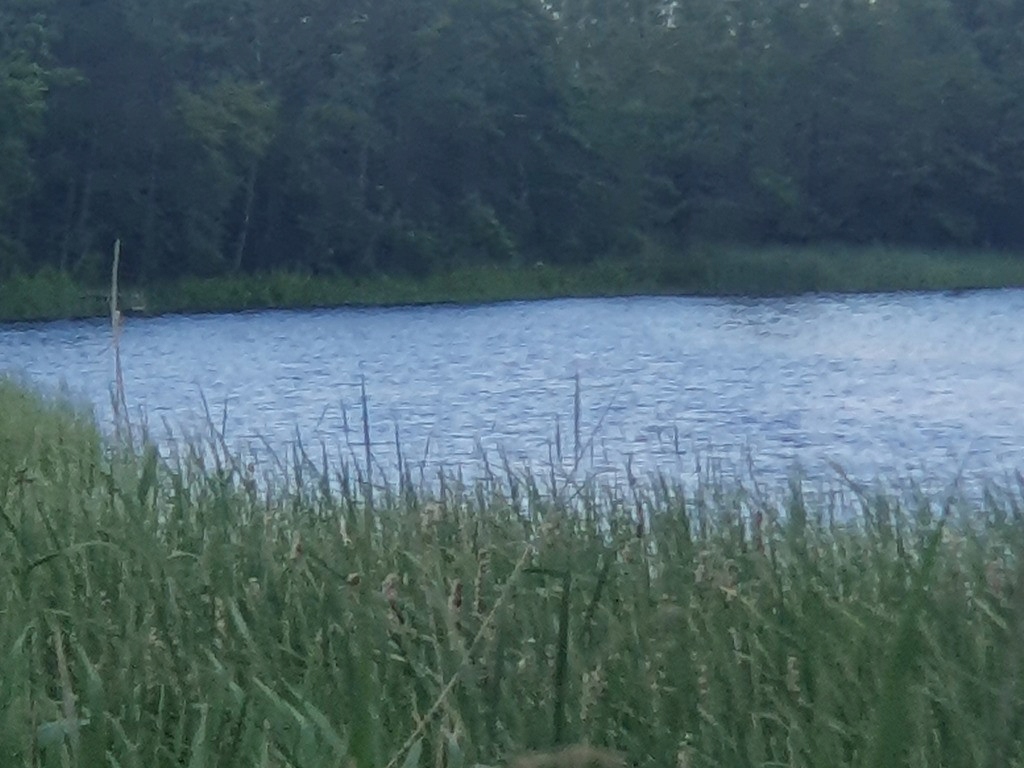 Działka, Zieleniewo, Bierzwnik, Choszczeński, 3138 m²