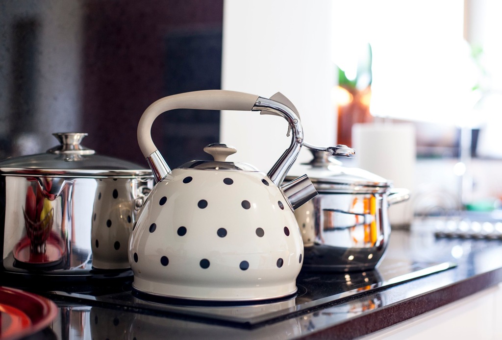 Чайник на 10 минут. Чайник. Чайник для газовой плиты. Красивые чайники для газовой плиты. Чайник в ретро стиле.