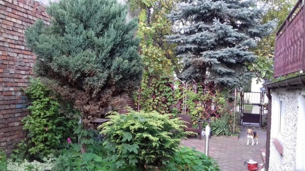 Dom, Piaseczno, Piaseczno (gm.), 200 m²