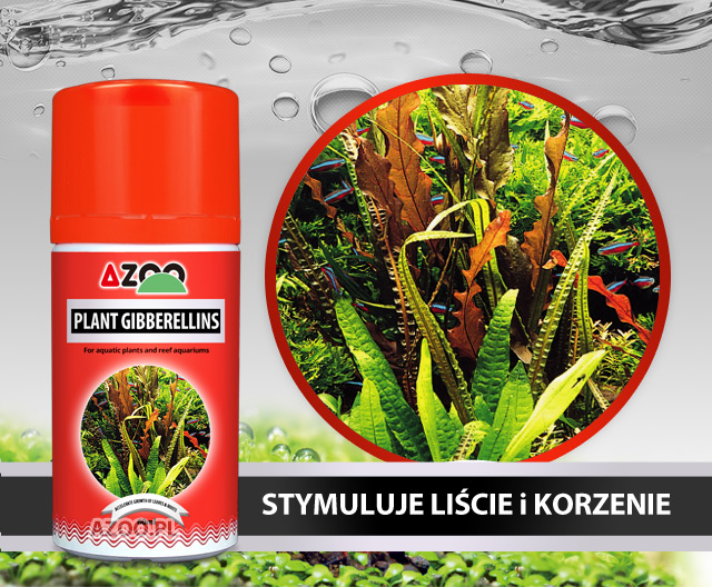 AZOO PLANT GIBBERELLINS - 60 ml