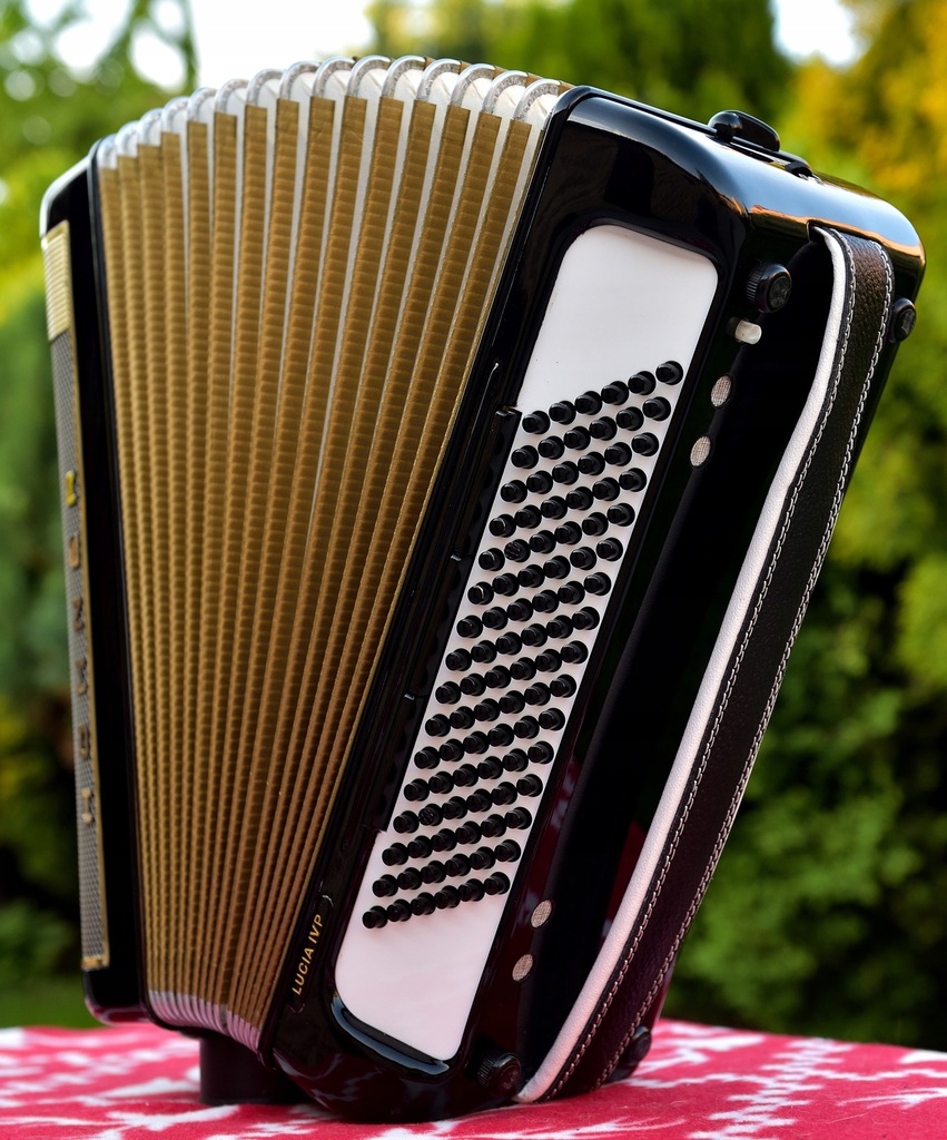 Akordeon Hohner Lucia IVP 96 Basów 4 chóry 9321732573 oficjalne
