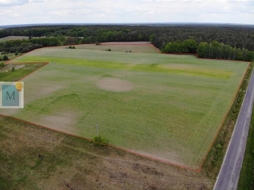 Działka, Cielmów, Tuplice (gm.), 118700 m²