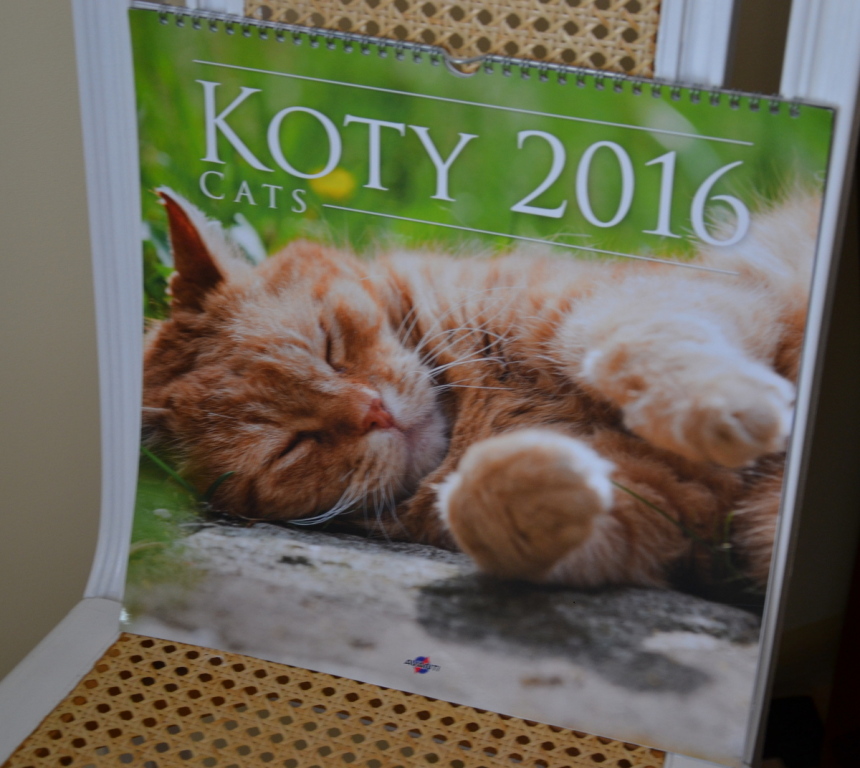 Kalendarz 2016 rok - KOTY