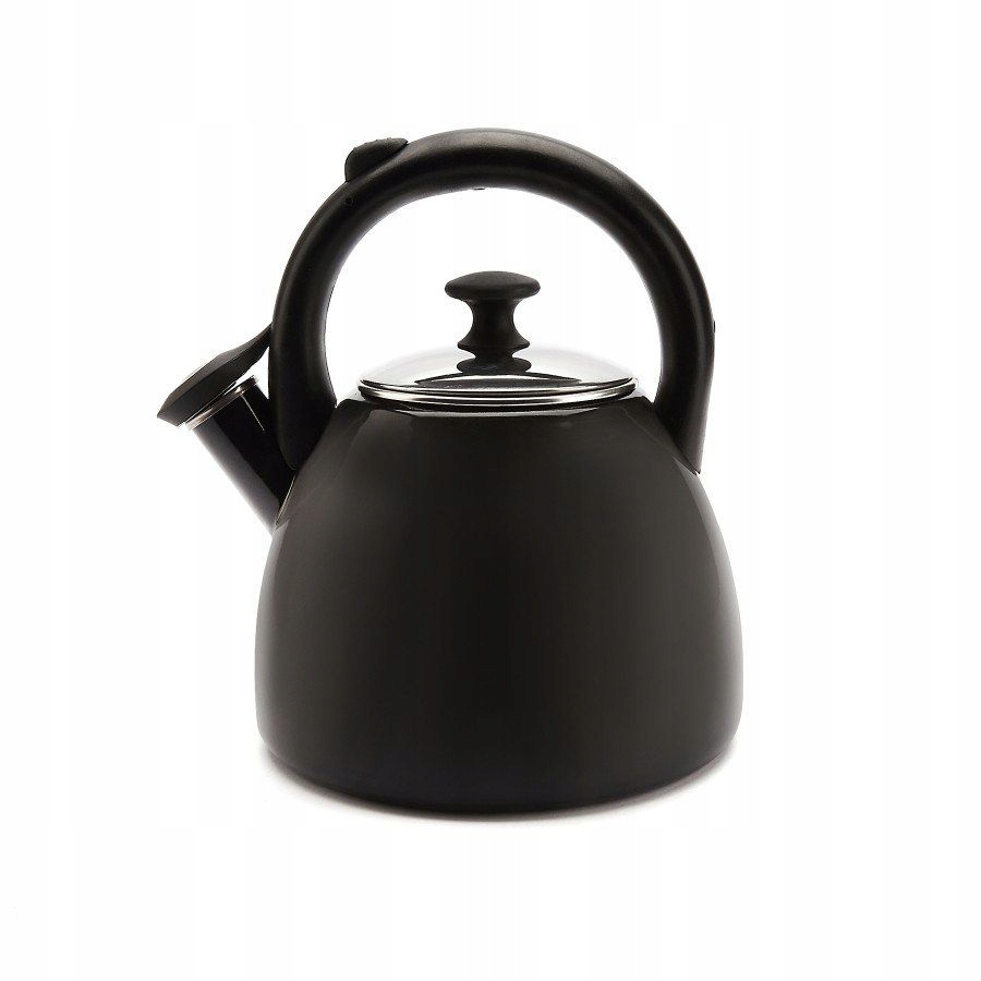 Чайник черный прозрачный. Чайник черный для газовой плиты. Маленький чайник для газовой плиты. Чайник черный газовый. Каменные чайники на газовую плиту.