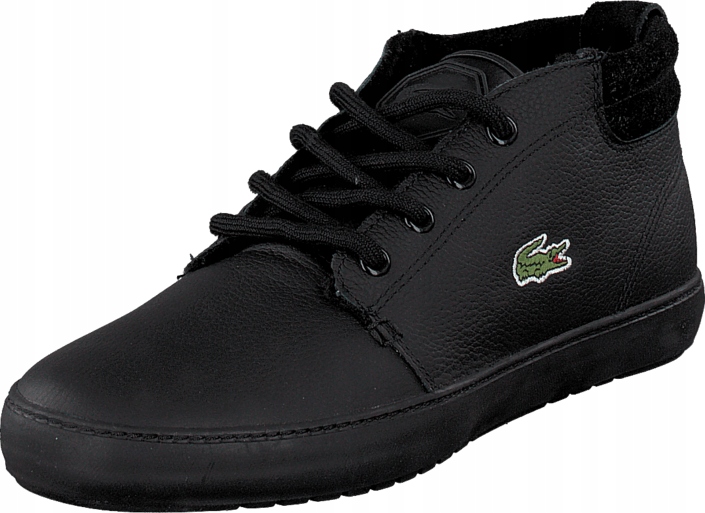 lacoste ampthill terra put