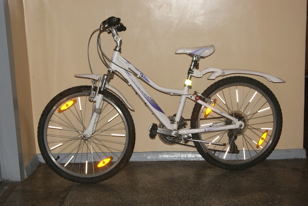 giant revel 24