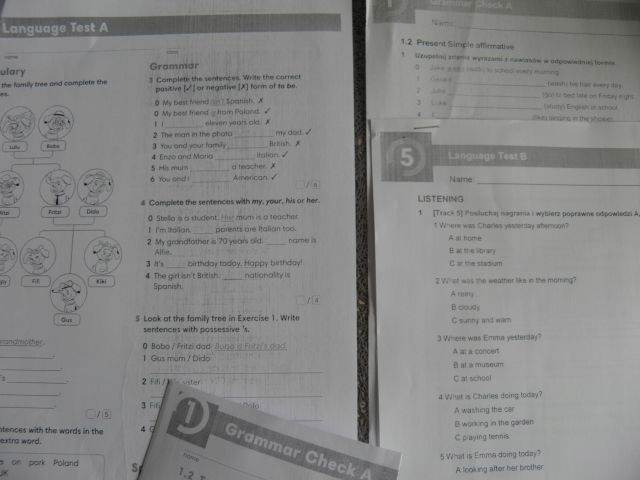 English Class Klasa 4 Testy English Class A1 ,A1+.TESTY,kartk.,odpowiedzi! - 7894885312 - oficjalne