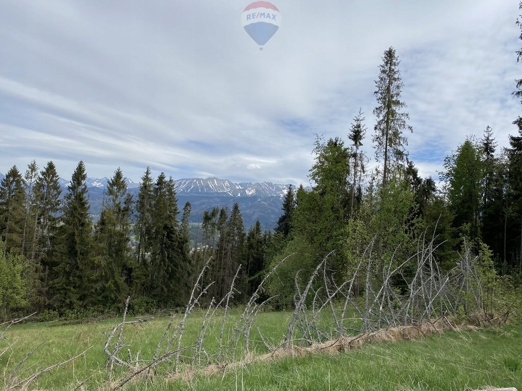 Działka, Zakopane, Tatrzański (pow.), 3743 m²