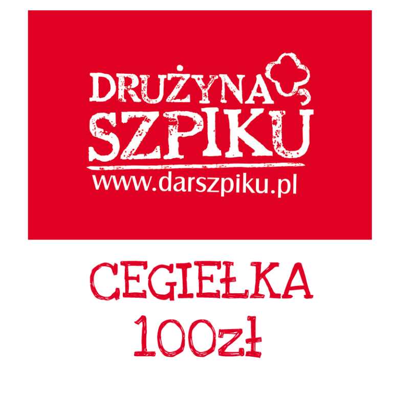 100zł Drużyna Szpiku Allerogal 2017