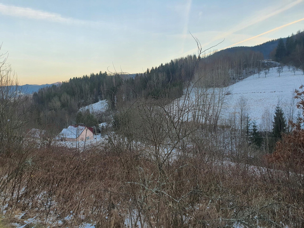 Działka, Kamienica, Kamienica (gm.), 6100 m²