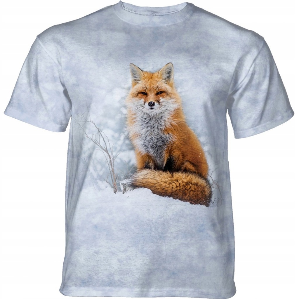 Red Fox In Winter - The Mountain L