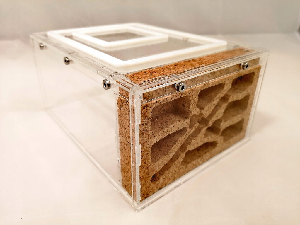 Formikarium Śląsk V3 formikarium AnthillShop